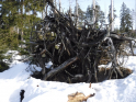 Harz2019-08.jpeg