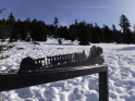 Harz2019-14.jpeg