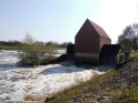 Ems-Hase-11.jpg