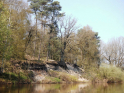 Ems-Hase-14.jpg
