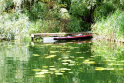 Schaalsee2017-08.jpg