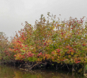 Herbsttour2018-16.jpg