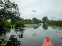 Dove-Gose-Elbe-06.jpeg
