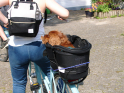 Himmelfahrt2019-77.jpeg
